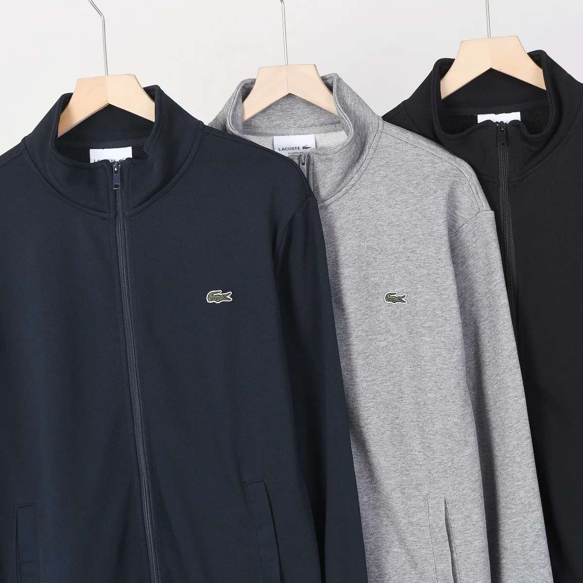 P220 800# crocodile zipper stand collar sweatshirt jacket Color: black gray royal blue Size: M-XXL Fabric: 350g cotton terry